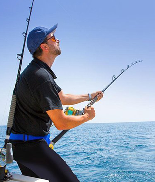 Fishing Trips and Cruises
